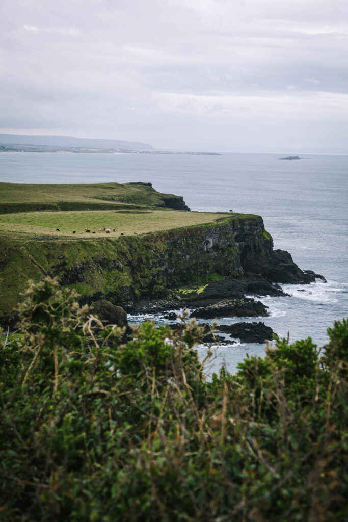 View of northern ireland cliffs.